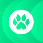 catnoirtv