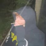 winnie